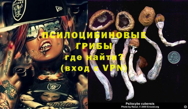 mdpv Арсеньев