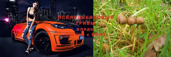 mdpv Арсеньев