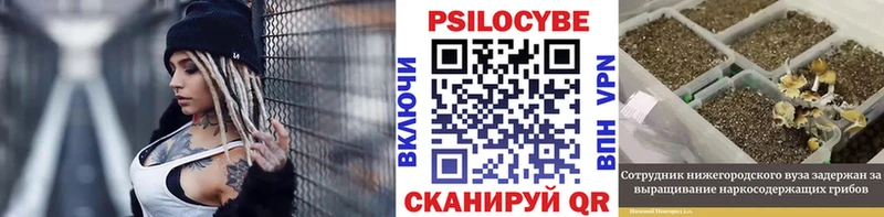 Псилоцибиновые грибы мухоморы  Купить где  Сергач 